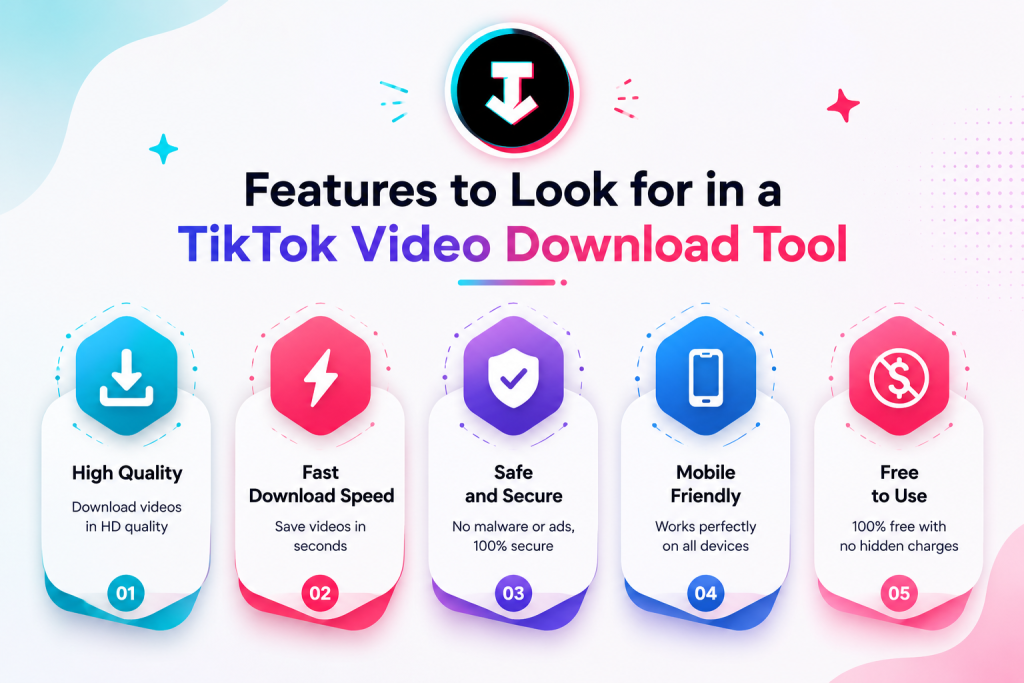 TikTok Video Download Tool